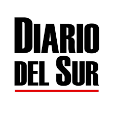 DIARIO DEL SUR